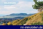 Hilzingen - Umgebung